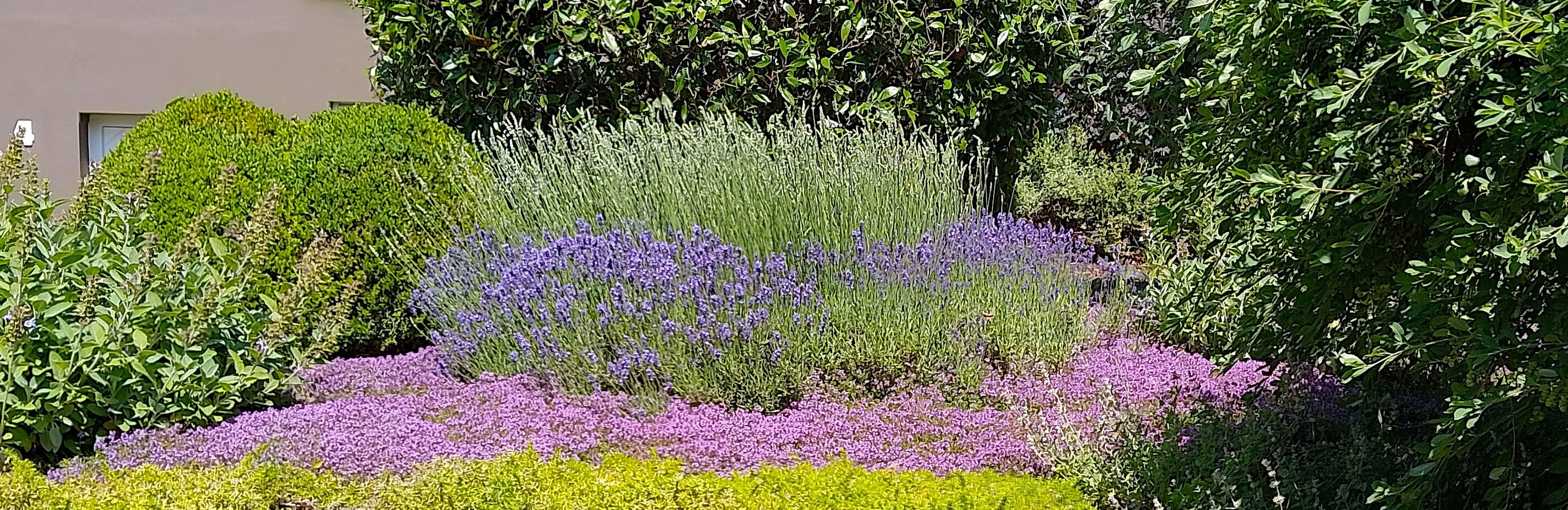 Bunter garten imkermanufaktur